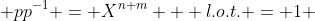  pp^{-1} = X^{n+m} + l.o.t. = 1 