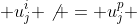 u^i_{j} \not = u^p_{j} 