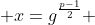  x=g^{\frac{p-1}{2}} 