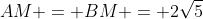AM = BM = 2\sqrt{5}