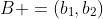 B =(b_1,b_2)