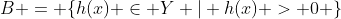 B = \{h(x) \in Y | h(x) > 0 \}