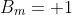 B_m=+1