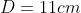 D=11cm