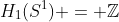 H_1(S^1) = \mathbb{Z}