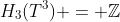 H_3(T^3) = \mathbb{Z}