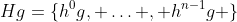Hg=\{h^0g, \ldots , h^{n-1}g \}