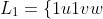 L_1=\{1u1vw\#1u0v'\mid u,v,v',w\in\{0,1\}^*,|v|=|v'|\}