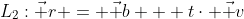 L_2:\vec r = \vec b + t\cdot \vec v