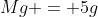 Mg = 5g