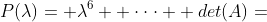 P(\lambda)= \lambda^6+ \cdot\cdot\cdot+ det(A)=