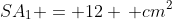 SA_1 = 12 \, cm^2