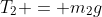 T_2 = m_2g