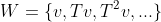 W=\{v,Tv,T^2v,...\}