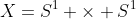 X=S^1 \times S^1