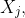 X_j,~j=1,2,3,4