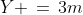 Y \,=\,3m\;\;{\color{blue}[3]}