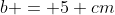 b = 5 cm