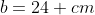 b=24 cm