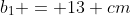 b_1 = 13 cm