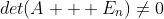 det(A + E_{n})\not=0