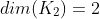 dim(K_2)=2