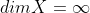 dimX=\infty