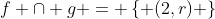 f \cap g = \left\{ {(2,r)} \right\}