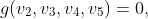 g(v_2,v_3,v_4,v_5)=0,