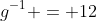 g^{-1} = 12