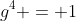 g^4 = 1