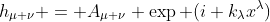 h_{\mu \nu} = A_{\mu \nu} \exp (i k_{\lambda}x^{\lambda})