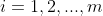 i=1,2,...,m