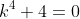 k^4+4=0