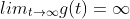 lim_{t\rightarrow\infty}g(t)=\infty
