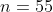 n=55