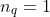 n_q=1