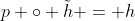 p \circ \tilde{h} = h