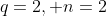 q=2, n=2