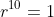 r^{10}=1