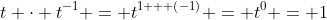 t \cdot t^{-1} = t^{1 + (-1)} = t^0 = 1