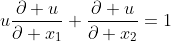 u\frac{\partial u}{\partial x_{1}}+\frac{\partial u}{\partial x_{2}}=1