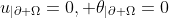 u_{|\partial \Omega}=0, \theta_{|\partial \Omega}=0