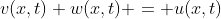 v(x,t)+w(x,t) = u(x,t)