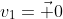 v_1=\vec 0