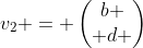 v_2 = \begin{pmatrix}b \\ d \end{pmatrix}