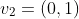 v_2=(0,1)