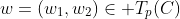 w=(w_1,w_2)\in T_p(C)