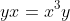 yx=x^3y