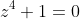 z^4+1=0